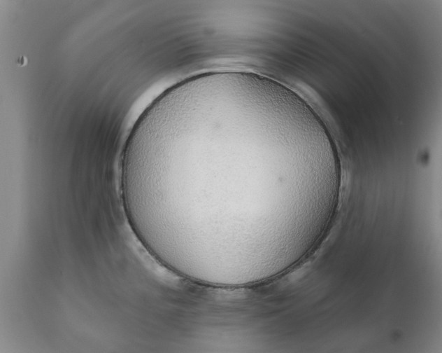 X0000111911196200908171255