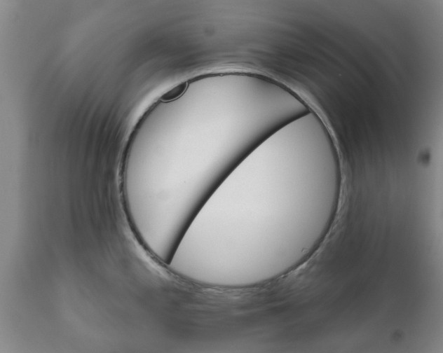 X0000111911197200908171255