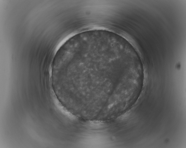 X0000111911198200908171255