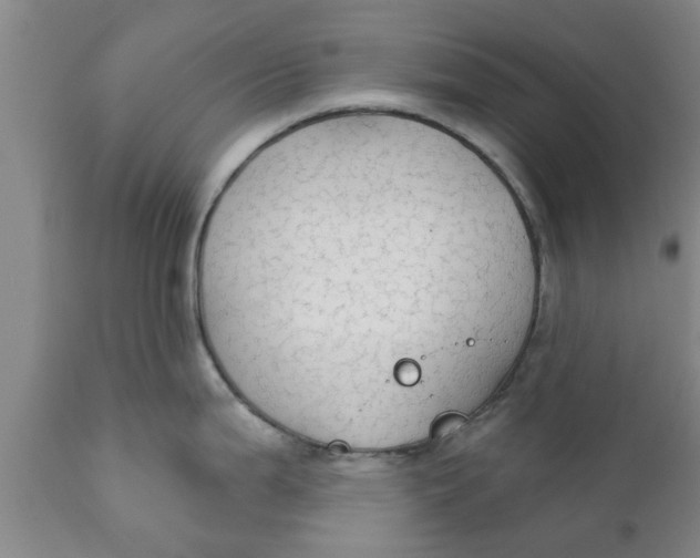 X0000111911199200908171255