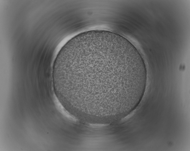 X0000111911200200908171255