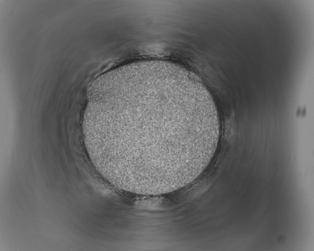 X0000111911201200908171254