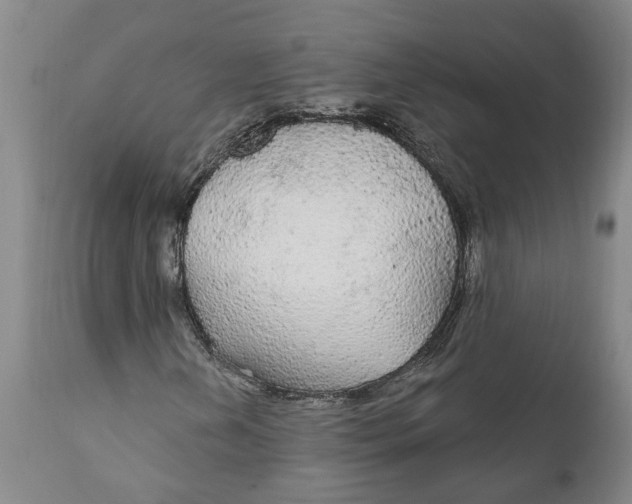 X0000111911202200908171254