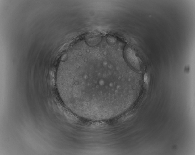 X0000111911203200908171254