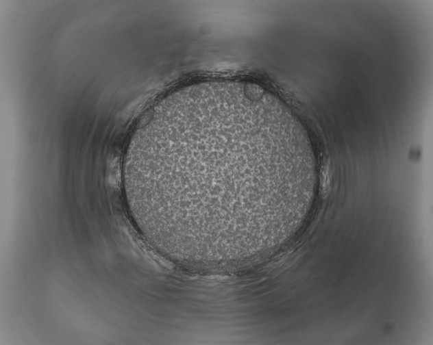 X0000111911204200908171254