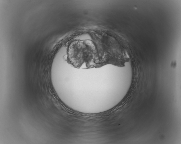 X0000111911205200908171254