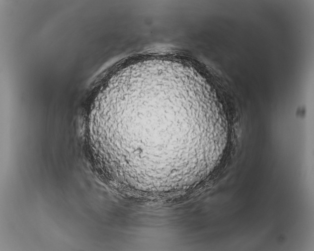 X0000111911206200908171254