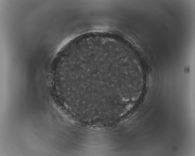 X0000111911208200908171254