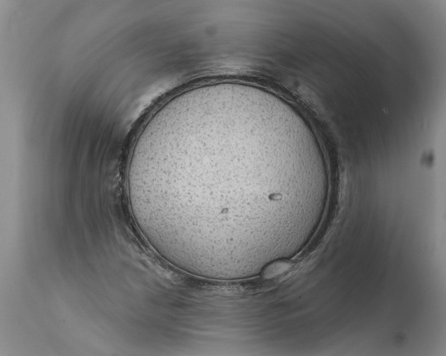 X0000111911210200908171254