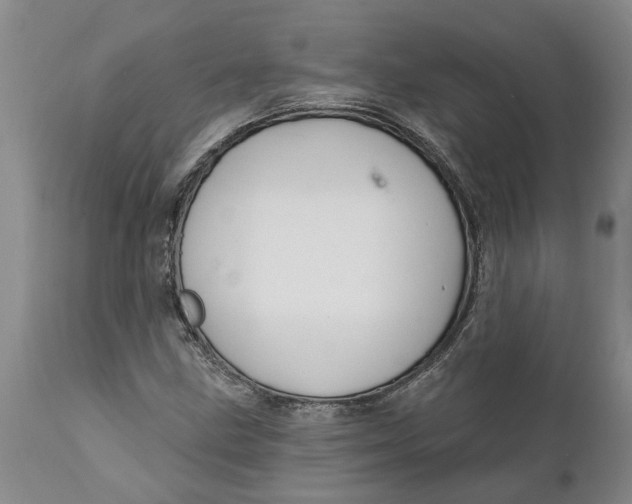 X0000111911211200908171254