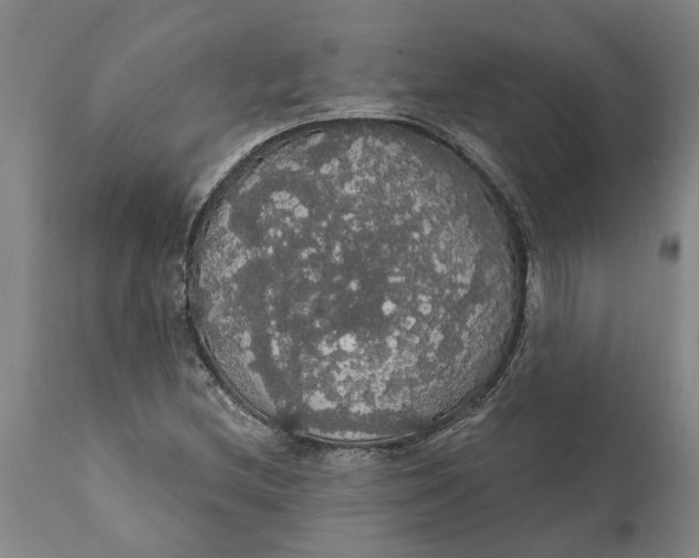 X0000111911212200908171254