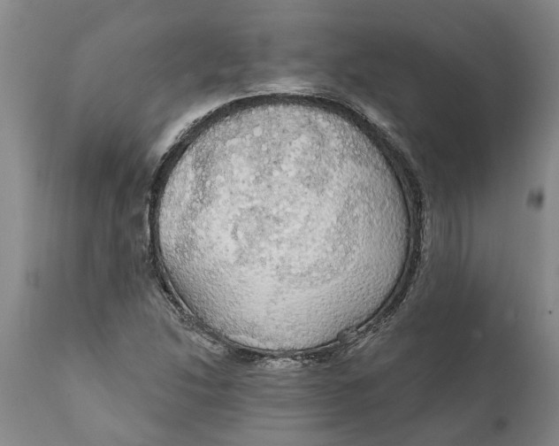 X0000111911214200908171254