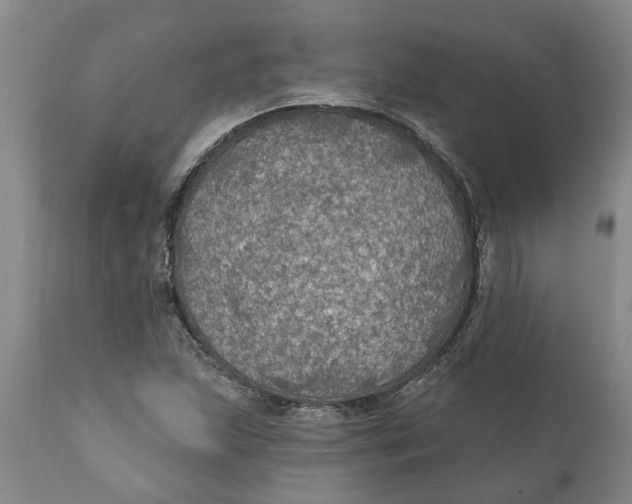 X0000111911215200908171254