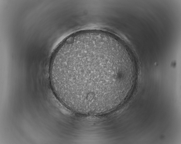 X0000111911216200908171254