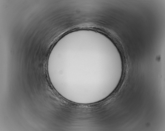 X0000111911217200908171254