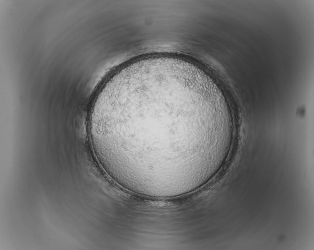 X0000111911218200908171254