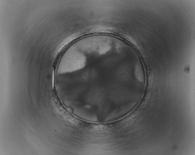 X0000111911219200908171254