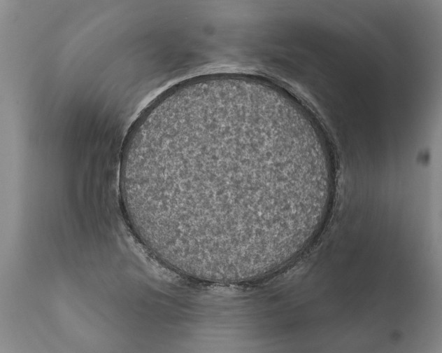 X0000111911220200908171254