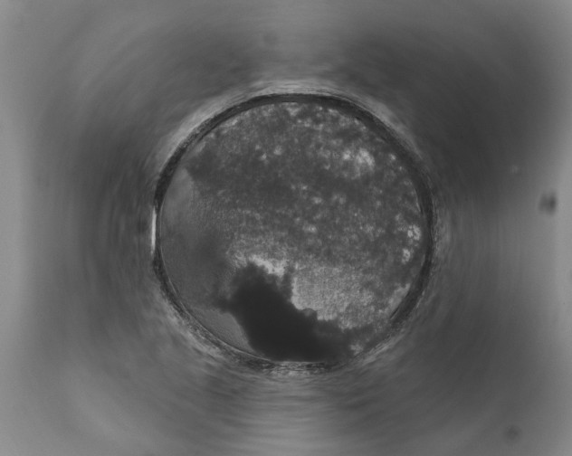 X0000111911221200908171254