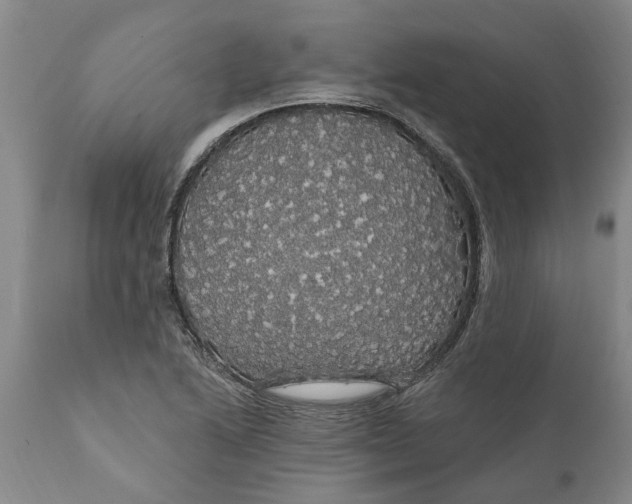 X0000111911222200908171254