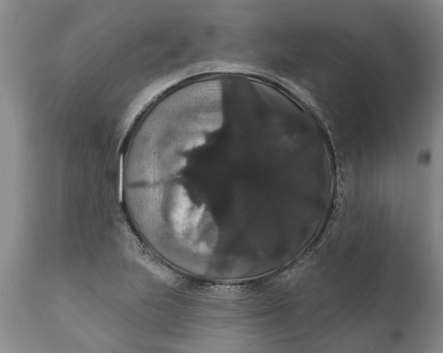 X0000111911223200908171254