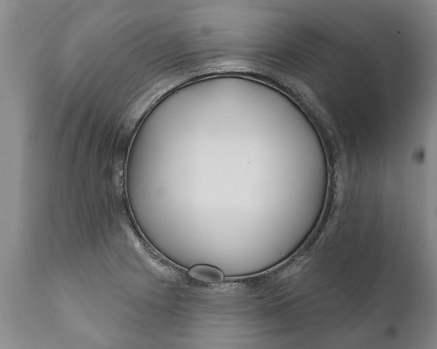 X0000111911225200908171254