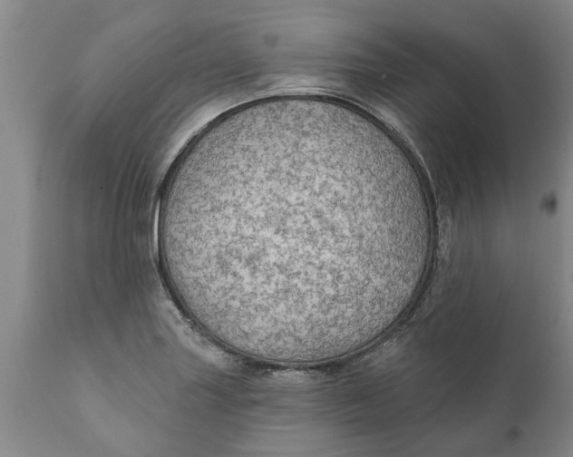 X0000111911227200908171254