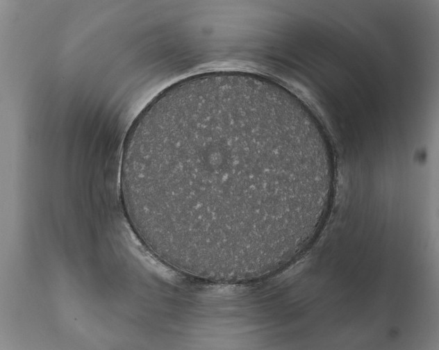 X0000111911228200908171254