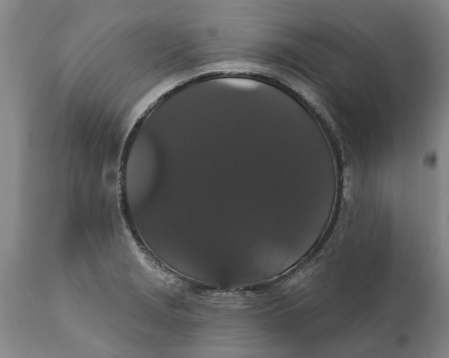 X0000111911229200908171254