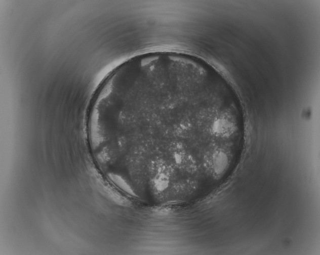 X0000111911230200908171254