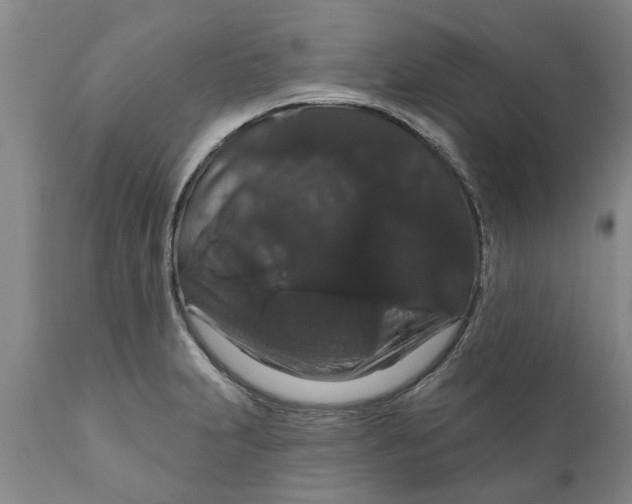 X0000111911231200908171254