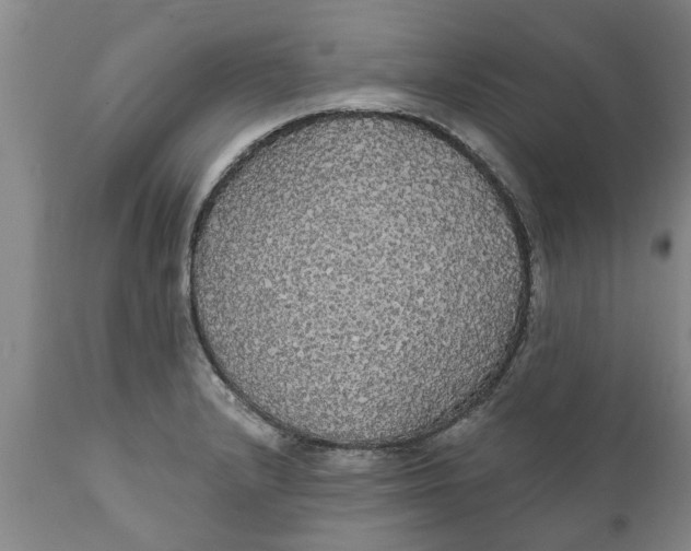 X0000111911232200908171254