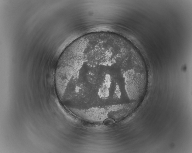 X0000111911233200908171254