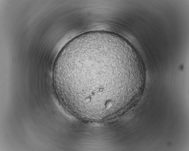 X0000111911234200908171254