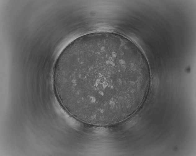 X0000111911235200908171254