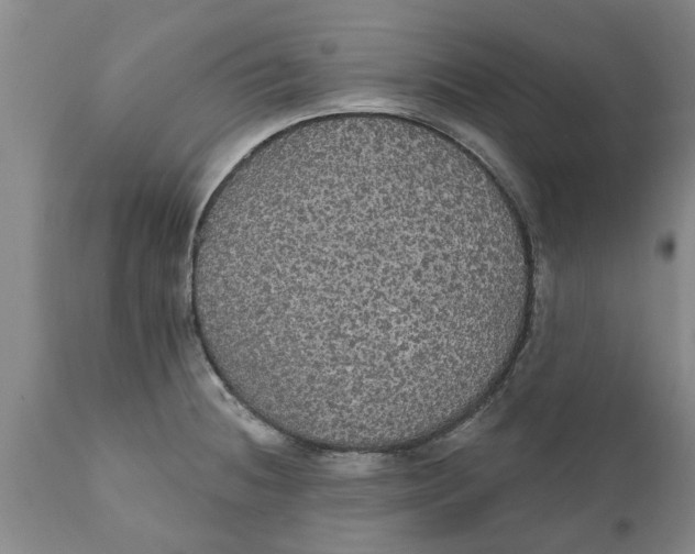 X0000111911236200908171254