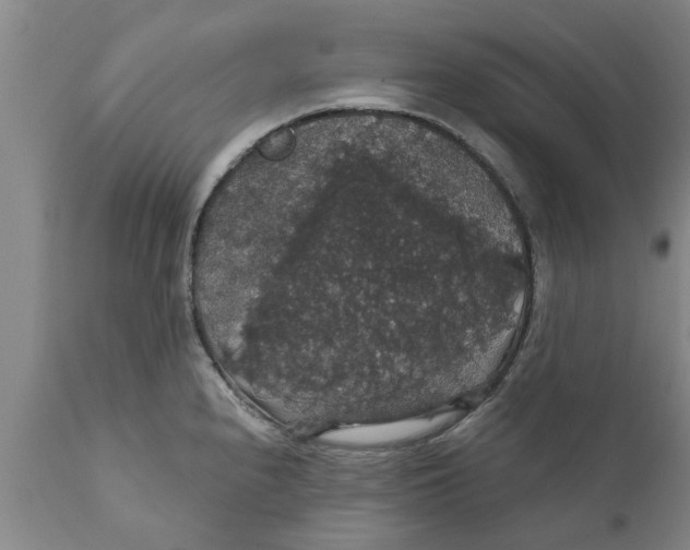 X0000111911240200908171254