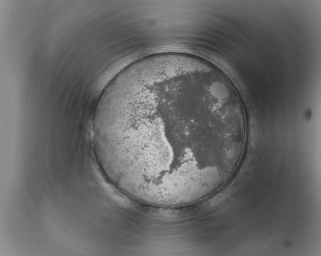 X0000111911241200908171254