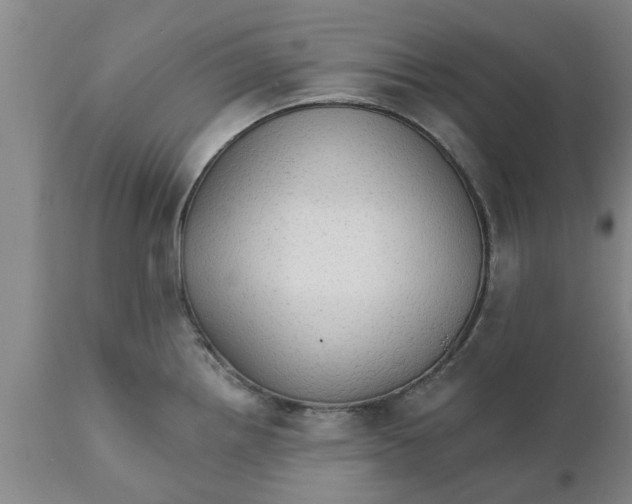 X0000111911242200908171254