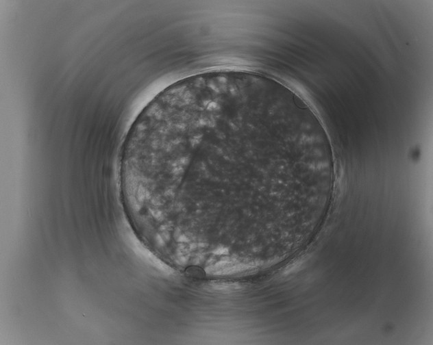 X0000111911243200908171254