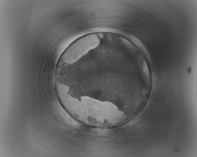 X0000111911244200908171254