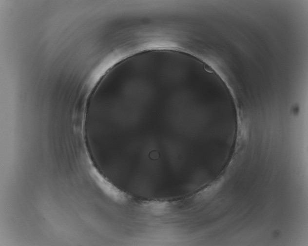 X0000111911245200908171254