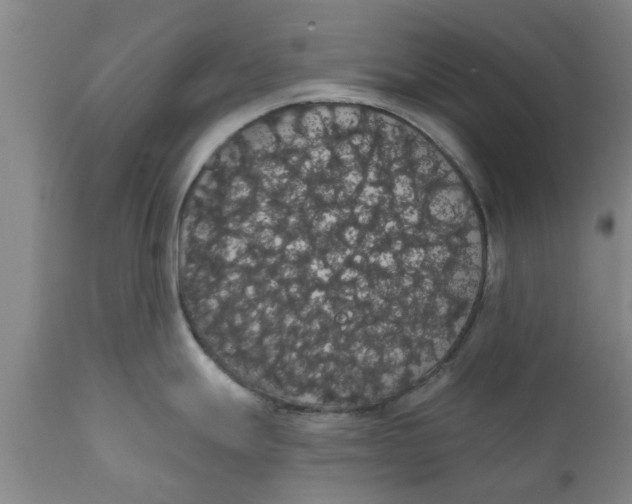 X0000111911247200908171255