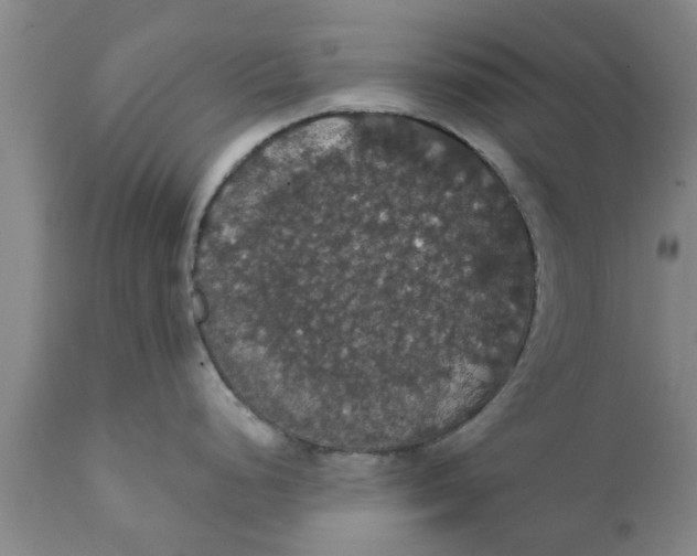 X0000111911248200908171255