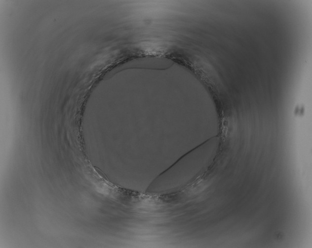 X0000111911249200908171254