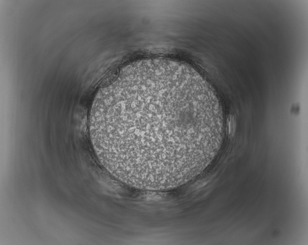 X0000111911251200908171254