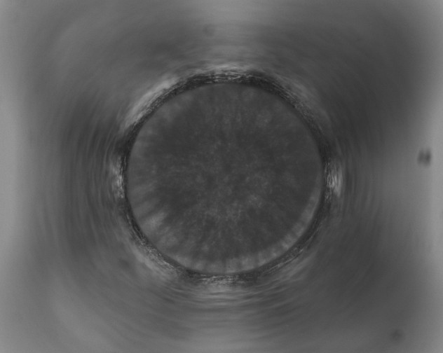 X0000111911252200908171254