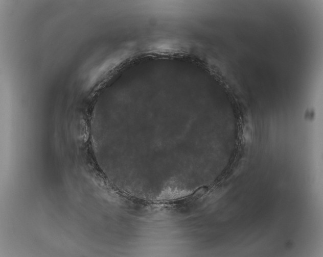 X0000111911253200908171254