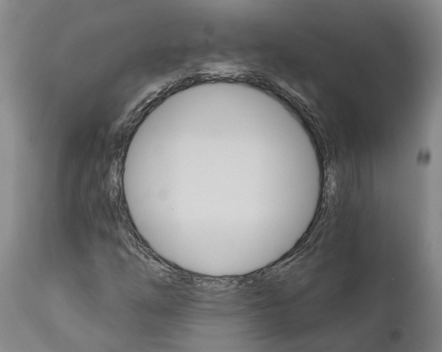 X0000111911254200908171254