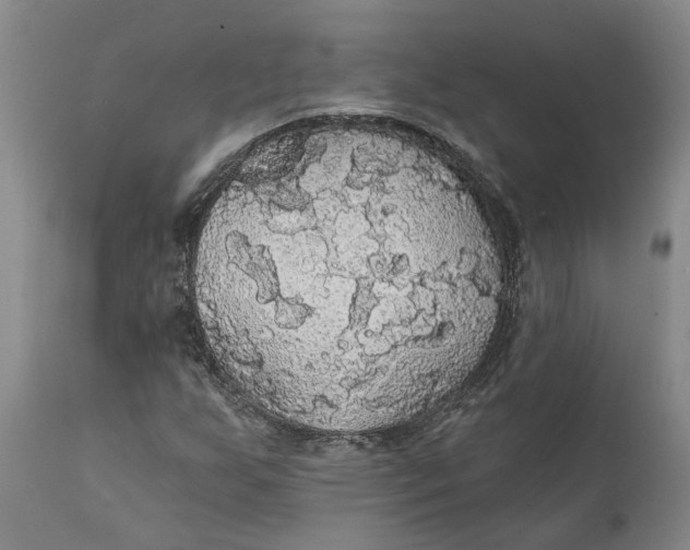 X0000111911255200908171254